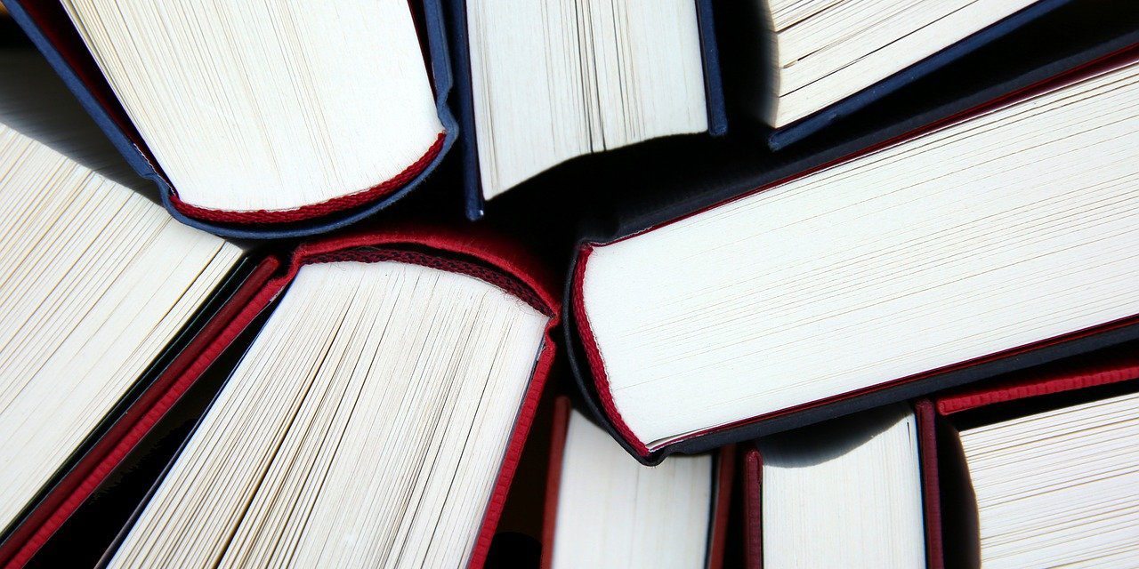 Leer o no leer teoría literaria (y qué y cómo)