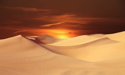 El white saviour en Dune