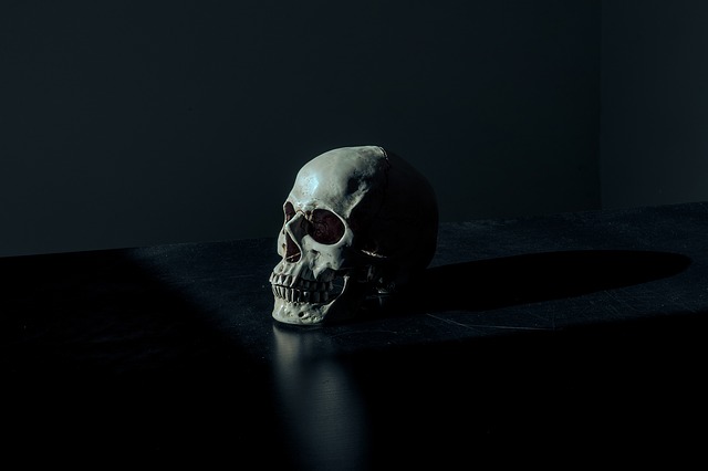 Engordar el texto, Itinerario de Literatura Fantástica, Terror y Ciencia Ficción, Escuela de Escritores,-IMG4-20