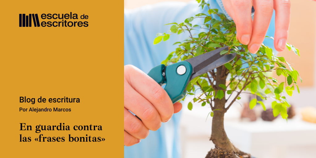 En guardia contra las «frases bonitas» - Centauros más allá de Orión En guardia contra las «frases bonitas» - Centauros más allá de Orión