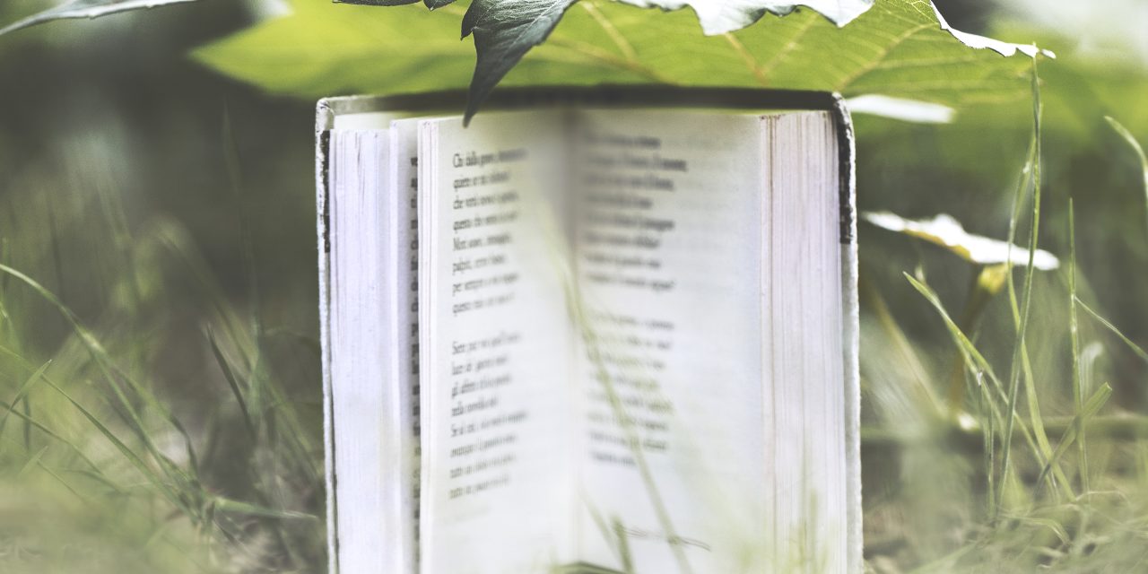 El peligro de las novelas cortas