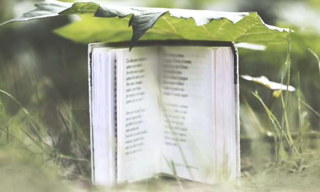 El peligro de las novelas cortas
